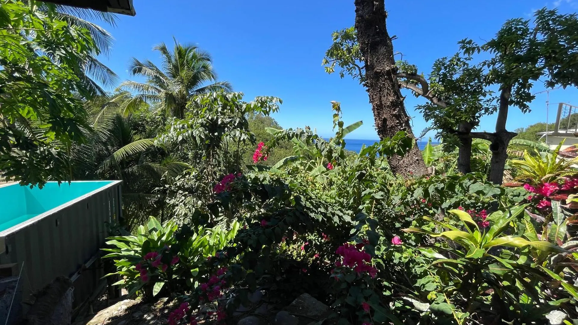 Le Jardin D'Agatine Bouguainvillier Lägenhet Bouillante 0*,